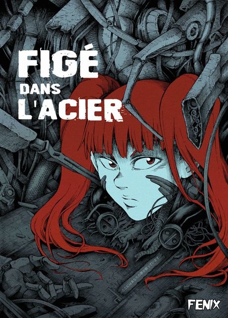 Figé dans l'acier